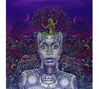 Erykah Badu – New Amerykah Prt.2