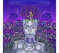 Erykah Badu New Amerykah Part Two: Return of the Ankh (Vinyl)