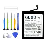 ERYNK BAT21ZN1336000 Batterie de rechange compatible avec Doogee S98 Batterie de rechange avec jeu d'outils