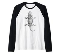 Eryops Fossil - Art des vertébrés Amphibiens du Permien Manche Raglan