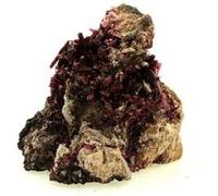 ERYTHRITE - Pierre Naturelle en Provenance du Maroc, Bou Azzer Mine - Cristal de Couleur Rose Vif, Collection Minérale 315.0 ct - Certificat d'Authenticité Inclus 48 x 42 x 40 mm Rose G