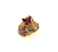 ERYTHRITE + QUARTZ - Pierre Naturelle en Provenance du Maroc, Bou Azzer Mine - Cristal de Couleur Rose, Minéral Rare 183.15 ct - Certificat d'Authenticité Inclus 50 x 33 x 30 mm