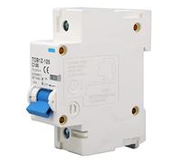 ERYUE 1P Disjoncteur de Circuit DC 100A Dispositif de Commutateur Sécurité | Système électromagnétique durable, adapté à divers systèmes DC, installation modulaire simple, protège contre les surcharges
