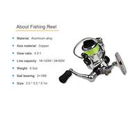 ERYUE Canne à Pêche Télescopique Pliable et Légère, Mini Stylo Portable, Kit de Canne à Pêche pour Les Amateurs de en Eau Douce et en Eau Salée, Alliage D'aluminium Fibre d'acier, Vert/Violet 1 M