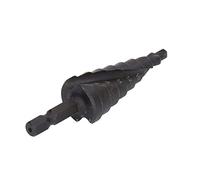 ERYUE Foret étagé à Tige Hexagonale, Foret Pagode à Double Rainure Réduisant les Chocs pour Métal Noir, Parfait pour les Perceuses sans Fil - 1 X étagé (9 étapes (4 à 20 mm))