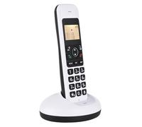 ERYUE Téléphone sans Fil Appels Mains Libres Conférence Téléphonique Identification de L'appelant pour Le Bureau, la Maison, la Famille - Blanc (Prise UE)