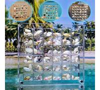 Erzekrim BoîTe D'Affichage MagnéTique en Acrylique pour Coquillages 1 Pcs 36 Grids Clear Acrylic Seashell Display Box pour Coquillages, Bibelot étoile de Mer, Récipient Décoratif Transparent pour