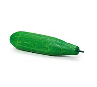 Concombre vert TU