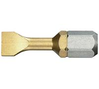 Embout Titane 5,5mm série 1 pour vis à fente longueur 25mm - - ES.125.5T