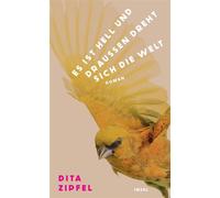 Es ist hell und draußen dreht sich die Welt Roman | Über die explosive Kraft zweier Frauen, die sich verbünden - Dita Zipfel - Insel Verlag - ebook (ePub) - Livre