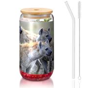 ESASAM Animals Hyena Tasse en verre avec paille recouverte de bambou 473,6 g, hautement transparente et sans BPA, saine et respectueuse de l'environnement