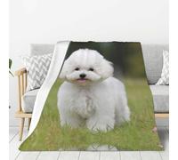 ESASAM Bichon Frise Dog Couverture en flanelle légère et chaude hypoallergénique 320 g