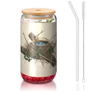 ESASAM Birds Nest Tasse en verre avec paille recouverte de bambou, très transparente et sans BPA, saine et respectueuse de l'environnement