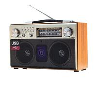 ESASAM Lecteur Radio Cassette rétro, Radio FM/DSP/Bluetooth, Lecture stéréo, Prise en Charge de la Carte TF/SD/USB, Rechargeable par USB