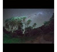 Esben and the Witch Older Terrors (Vinyl) 12" Album