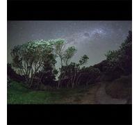 Esben and the Witch Older Terrors (Vinyl) 12" Album