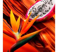 ESCADA Bali Paradise 30 ML Eau de toilette Parfums pour Femme