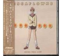 Escaflowne: Over the Sky