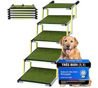 Escalier pour Chien Petit ou Grand PRIORPET - Marquage Phosphorescent - Surface antidérapante Herbe - Rampe Pliable pour Voiture idéale pour articulations - Convient à Toutes Les Voitures - 5 marches