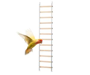 Escalier pour perroquets - Échelle de à 9 étapes avec crochets pour cages, échelle d'escalade en acier inoxydable anti-arrachement pour perroquets, sagesse, cacatos, inséparables, faciles