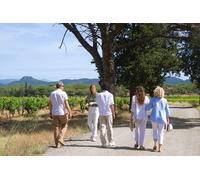 Escapade d une Journée en Van au cœur du Vignoble Provençal