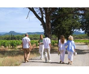 Escapade d une Journée en Van au cœur du Vignoble Provençal