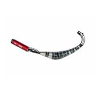 Tecnigas Basic Aprilia Di-tech Not Homologated Muffler Argenté Not Homologated