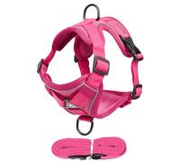 Escape-Proof Cat Harness, Reflective Kitten Lead Set, Comfortable Walking Harness for Kittens and Puppies, Safe Outdoor Adventures, 24 x 18 x 0,79 cm, 38 x 22 x 0,79 cm