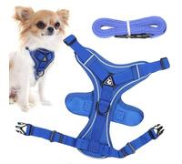 Escape-Proof Cat Harness, Reflective Kitten Lead Set, Comfortable Walking Harness for Kittens and Puppies, Safe Outdoor Adventures, 24 x 18 x 0,79 cm, 38 x 22 x 0,79 cm