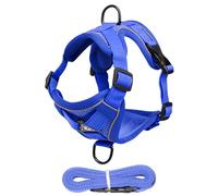 Escape-Proof Cat Harness, Reflective Kitten Lead Set, Comfortable Walking Harness for Kittens and Puppies, Safe Outdoor Adventures, 24 x 18 x 0,79 cm, 38 x 22 x 0,79 cm