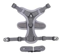 Escape-Proof Cat Harness, Reflective Kitten Lead Set, Comfortable Walking Harness for Kittens and Puppies, Safe Outdoor Adventures, 24 x 18 x 0,79 cm, 38 x 22 x 0,79 cm