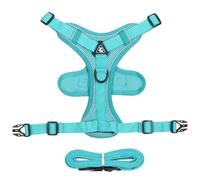 Escape-Proof Cat Harness, Reflective Kitten Lead Set, Comfortable Walking Harness for Kittens and Puppies, Safe Outdoor Adventures, 24 x 18 x 0,79 cm, 38 x 22 x 0,79 cm