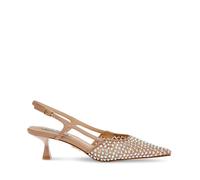 Escarpins femme Steve Madden Legaci-Mr Beige 37