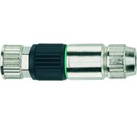 Escha 8019721 Connecteur non confectionné pour capteurs/actionneurs Nombre de pôles: 3 1 pc(s)