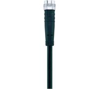 Escha 8043750 Câble de raccordement 10.0 m Nombre de pôles: 3 1 pc(s)