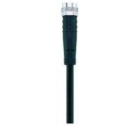 Escha 8044017 Jonction 2.0 m Nombre de pôles: 4 1 pc(s)