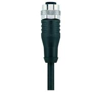 Escha 8046231 Câble de raccordement 10.0 m Nombre de pôles: 4 1 pc(s)
