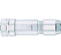 Escha 8068910 Connecteur non confectionné pour capteurs/actionneurs Nombre de pôles: 5 1 pc(s)