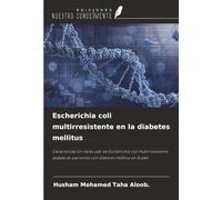 Escherichia coli multirresistente en la diabetes mellitus: Caracterización molecular de Escherichia coli multirresistente aislada de pacientes con diabetes mellitus en Sudán
