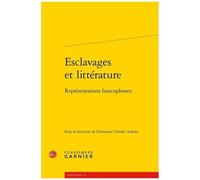 Esclavages Et Littérature - Représentations Francophones