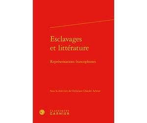 Esclavages et littérature: Représentations francophones