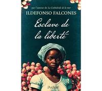 Esclave de la liberté Ildefonso Falcones (Auteur), Alice Seelow (Traduction)