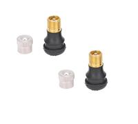 escootervision Lot de 2 valves tubulaires droites compatibles avec Ninebot G30 série F VMAX