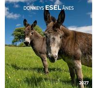 Esel / Donkeys 2027: Kalender 2027