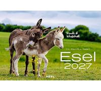 Esel Kalender 2027: Der Tierkalender mit den charmanten Namen Wandkalender