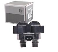 Esen SKF 03skv012 d'allumage et de glühanlagen