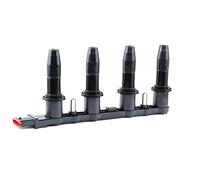 Esen SKF 03skv123 d'allumage et de glühanlagen