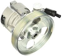 Esen SKF 10skv163 Servo Pompes