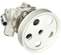 Esen SKF 10skv185 Servo Pompes