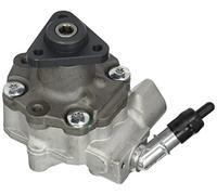 Esen SKF 10skv187 Servo Pompes